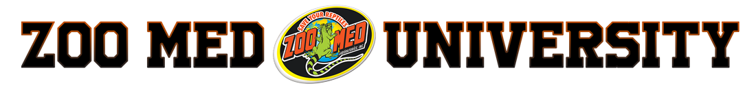 Zoo Med University Europe